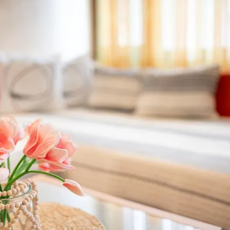 제우스 3* 포마리